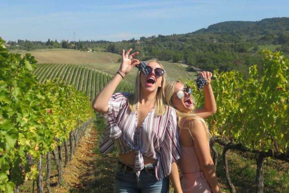 Florence: Private Siena, San Gimignano and Chianti Tour - Chianti Region driving: castles, villages, and vineyard-road time