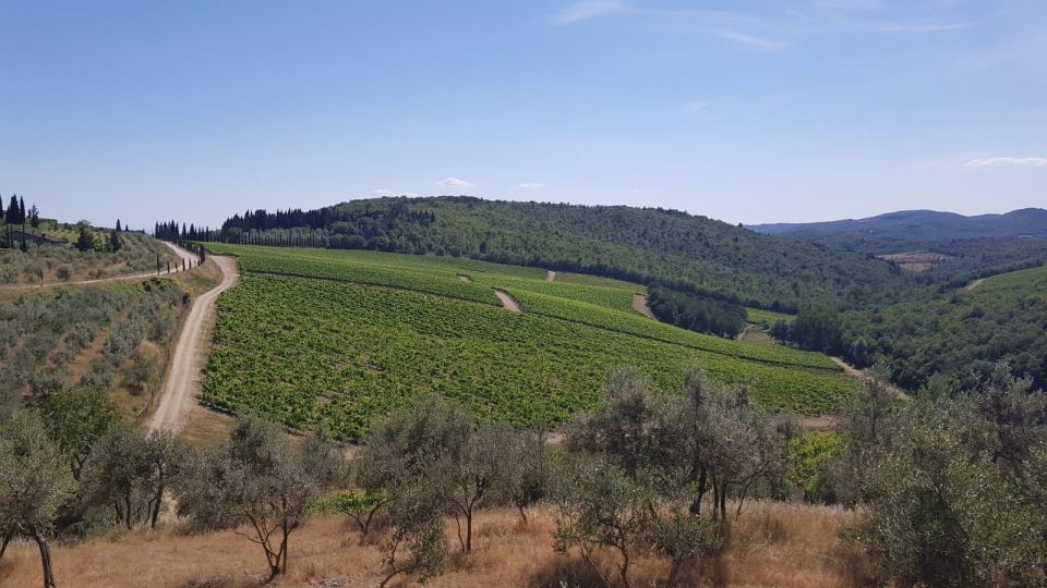 Florence: Private Vintage Fiat500 Countryside & Winery Lunch - The Family-Run Chianti Classico Farm: Lunch, Wine, and Olive Oil Tasting