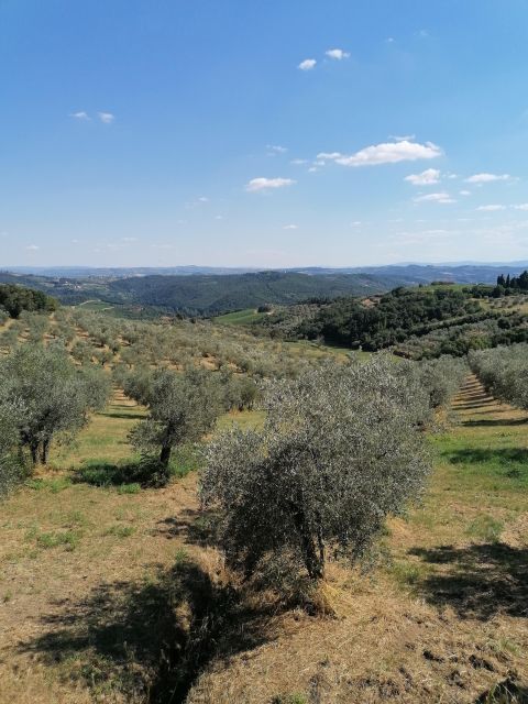 Florence: Private Vintage Fiat500 Countryside & Winery Lunch - Winery Tour Time: How the 105 Minutes Typically Feel