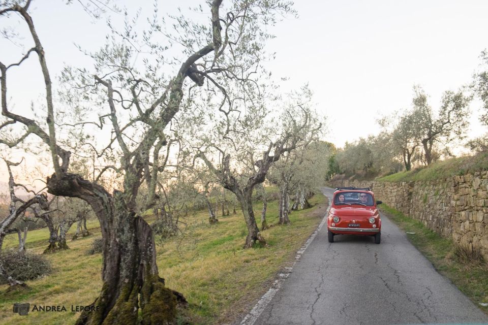 Florence: Private Vintage Fiat500 Countryside & Winery Lunch - Should You Book This Private Vintage FIAT 500 Countryside & Winery Lunch?
