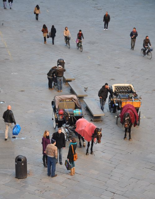 Florence: Private Walking Tour with a Local Guide - Pitti Palace area: plan around gallery closures on Mondays