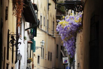 Florence Traditional Local Artisan Experience - The paper marbling workshop: making a keepsake, not just taking photos