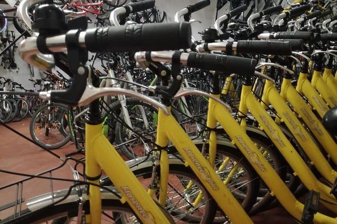 Florence treasures on a city bike - 1 day rental - - The Bike Setup: Helmet, locks, basket/panniers, and why it matters