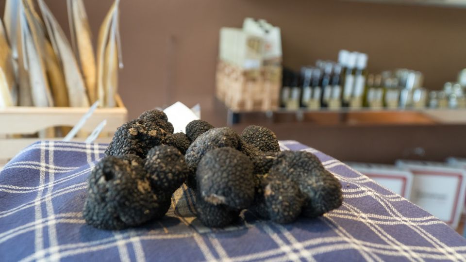 Florence: Truffle Hunting and Vinci with Lunch and Winery - Corazzano lunch and tastings: why the meal is the point