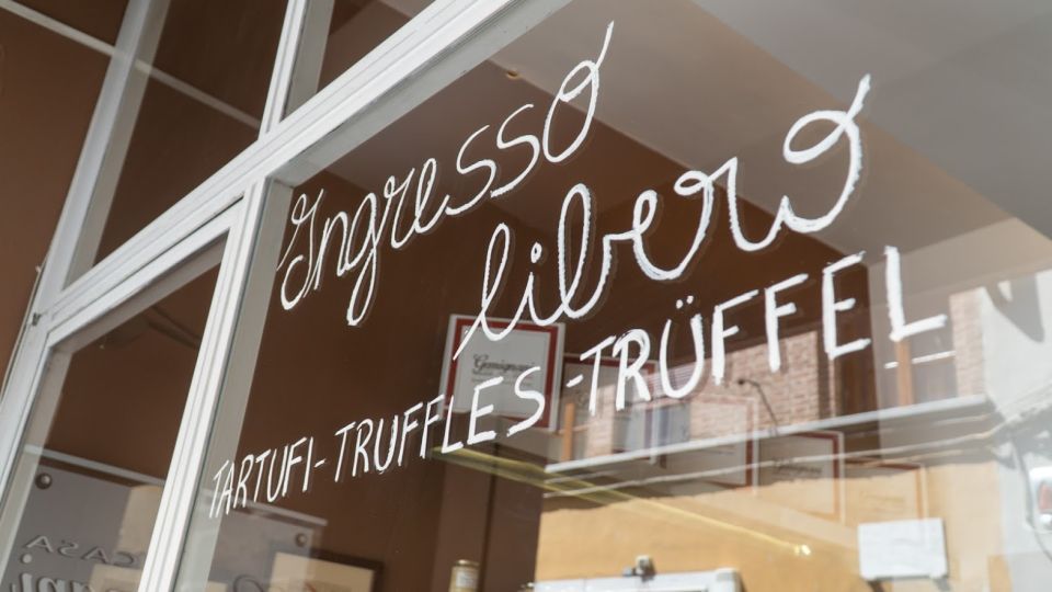 Florence: Truffle Hunting and Vinci with Lunch and Winery - Borchi winery and Chianti tasting: the wine stop that ties it together