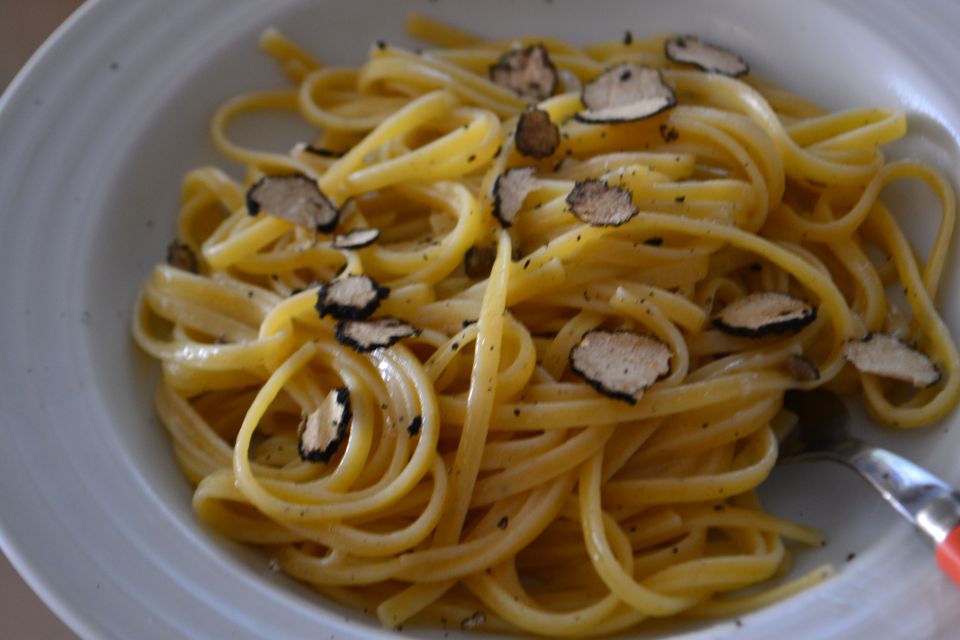 Florence: Truffle Hunting, Lunch, and Wine Tasting Tour - Key things to know before you go