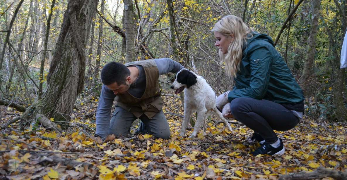 Florence: Truffle Hunting, Lunch, and Wine Tasting Tour - San Miniato and the truffle-hunter day plan