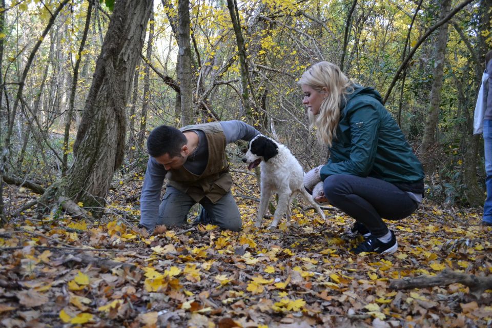 Florence: Truffle Hunting, Lunch, and Wine Tasting Tour - Lunch at a family winery: truffle appetizers and real Tuscan comfort