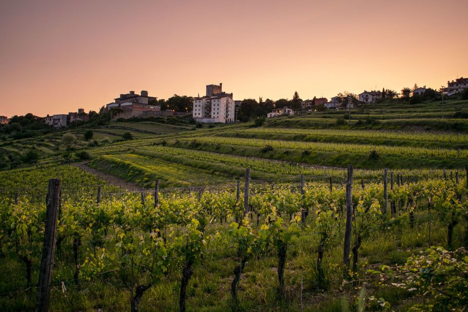 Florence: Tuscany Chianti Winery Private Day-Trip with Lunch - Key Takeaways Before You Go