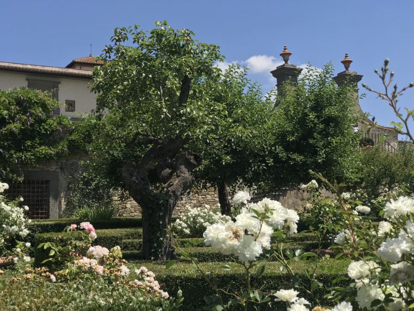 Florence: Tuscany Chianti Winery Private Day-Trip with Lunch - Greve in Chianti: Village Walking, Coffee Tasting, and Verrazzano