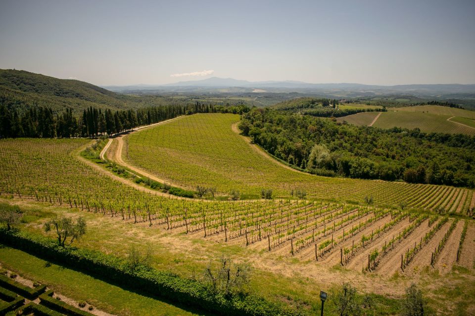Florence: Tuscany Chianti Winery Private Day-Trip with Lunch - The Estate Experience: Medieval Cellars and Oak-Barrel Aging