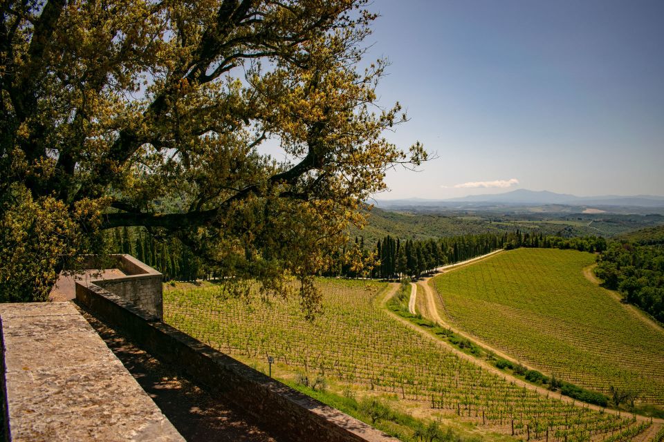 Florence: Tuscany Chianti Winery Private Day-Trip with Lunch - Olive Oil Secrets: Learn What Makes Extra-Virgin Worth Paying For