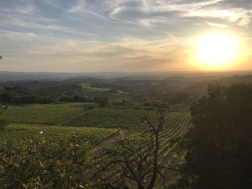 Florence: Tuscany Chianti Winery Private Day-Trip with Lunch - Lunch at the Villa Estate: Organic Ingredients and Real Pairing Sense