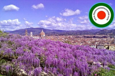 Florence Vespa Rental - Your Florence Route: Piazzale Michelangelo, Ponte Vecchio, Palazzo Pitti, Boboli