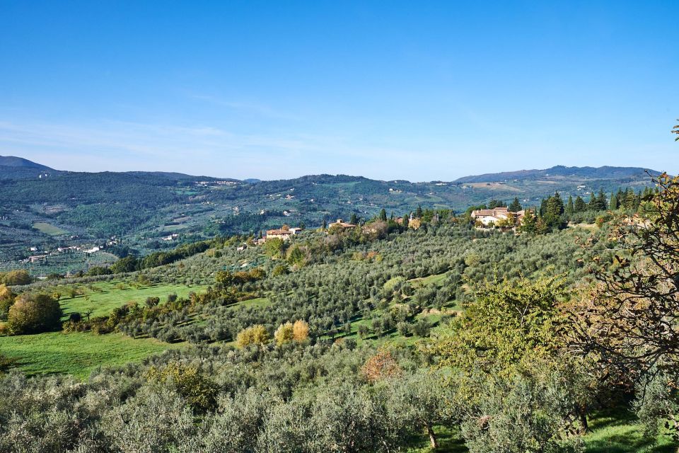 Florence: Vintage Fiat 500 Tour with Wine Tasting at Winery - Comfort and Practical Tips for a Tiny Car Day