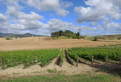 Florence: Volterra & San Gimignano Wine Tour with Lunch - Pickup, private driver pace, and how the day stays comfortable
