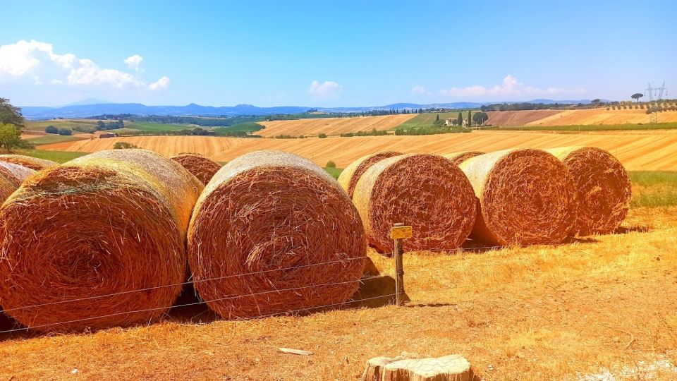 Florence: Volterra & San Gimignano Wine Tour with Lunch - Chianti hills photo stop and the Florence return