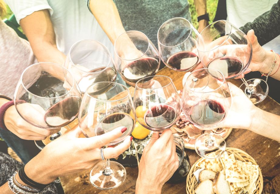 Florence: Wineries, Tastings, Lunch & San Gimignano Day Trip - First Organic Winery: Vineyards, Cellars, and Olive Oil Details That Stick