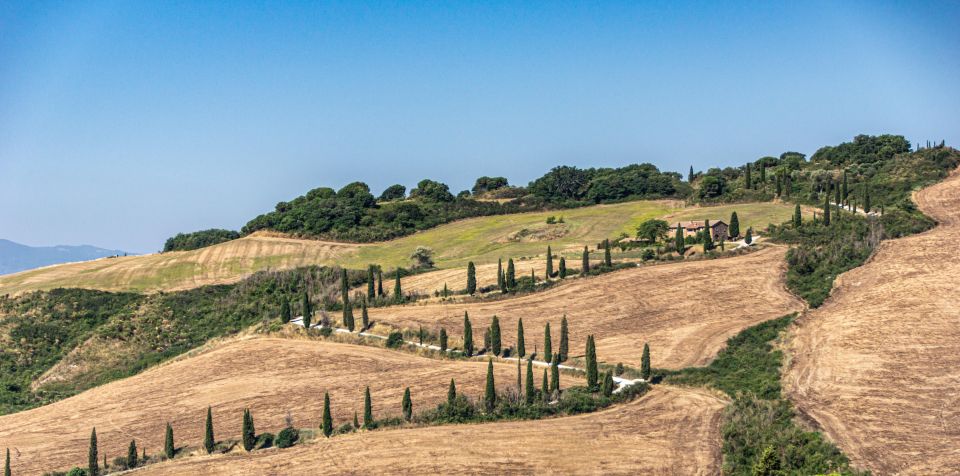 From Florence: Chianti, Montalcino & Montepulciano - Minivan - Food Highlights: Olive Oil, Vin Santo Pairings, and Lunch That Actually Fills You Up