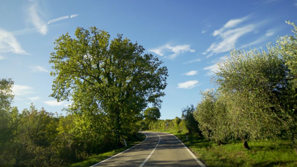 From Florence: Chianti, Montalcino & Montepulciano - Minivan - 1) Chianti Hills: First Views, Snacks, and a Real Tasting