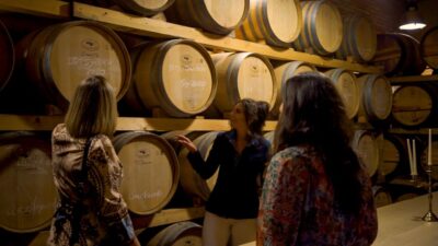 From Florence: Chianti, Montalcino & Montepulciano - Minivan - Your Ride: Deluxe Minivan, WiFi, and a Long Day That Stays Manageable