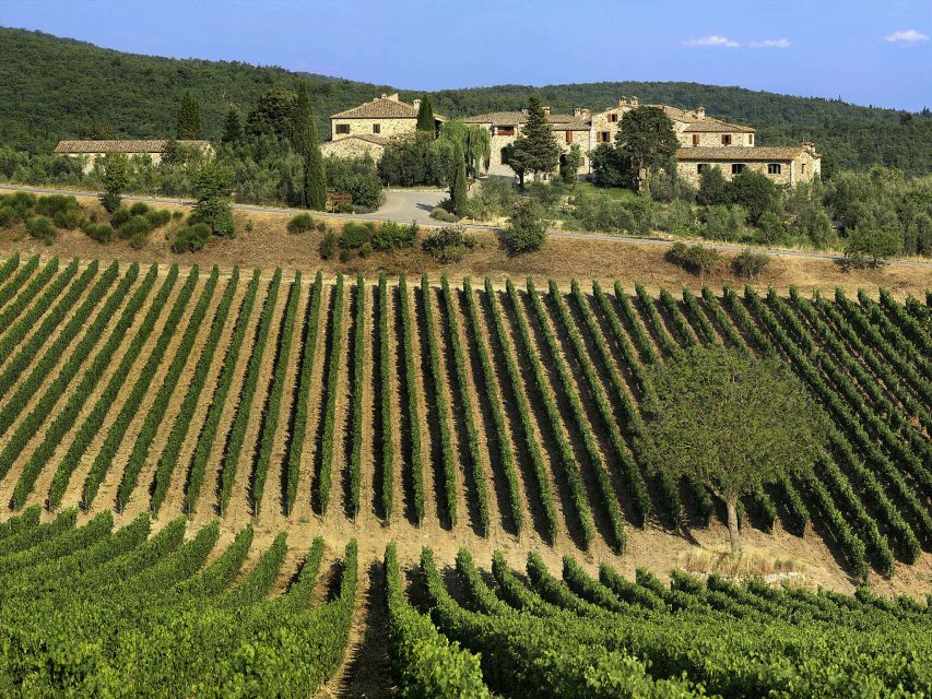 From Florence: Chianti, Montalcino & Montepulciano - Minivan - 2) On the Road: Monteriggioni, Crete Senesi, and Via Francigena Moments