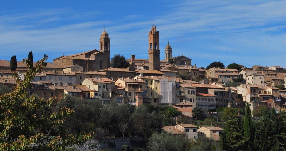 From Florence: Chianti, Montalcino & Montepulciano - Minivan - 4) The Montalcino Wine Focus: Rosso, Brunello, and Supertuscan Possibilities