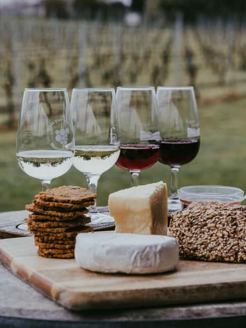 From Florence: Chianti Wine Tour with Driver-Guide - Panzano Pass-Through and Your First Winery Cellar Visit