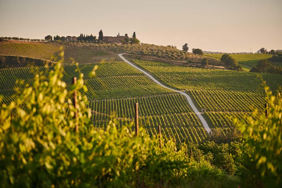 From Florence: Chianti Wine Tour with Driver-Guide - Lunch Options: Driver’s Trattoria Pick or a Winery Meal