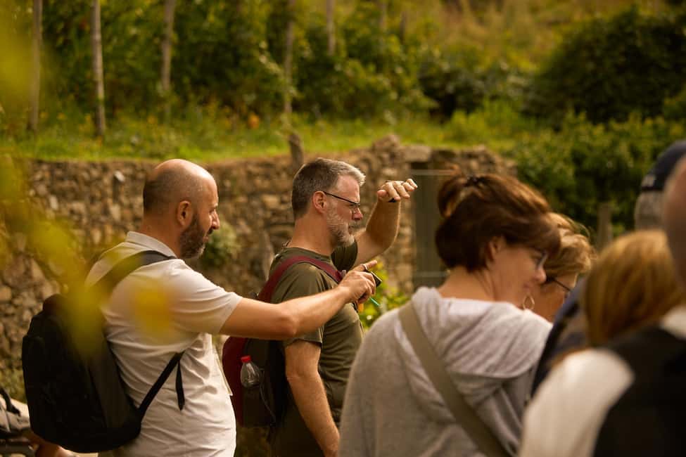 From Florence: Cinque Terre Day Trip with Local Guide - A smarter way to do Cinque Terre from Florence