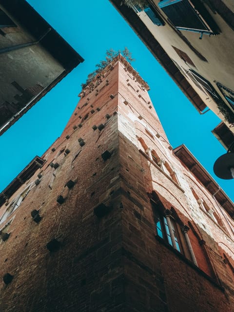 From Florence: Cinque Terre guided tour with Lucca - Manarola Guided Walk: Colorful Houses and Real History