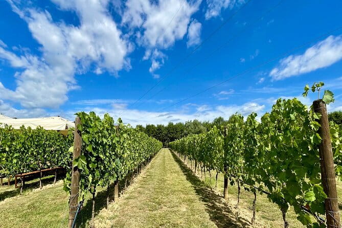 From Florence: Classic Chianti Villages and Wine Roads by Minivan - Key Things to Know Before You Go