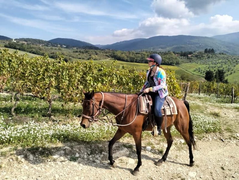 From Florence: Horse Ride and Wine Tour at Estate with Lunch - From Piazza dei Cavalleggeri to the Southern Chianti hills