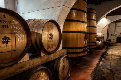 From Florence: Horse Ride and Wine Tour at Estate with Lunch - The safety prep: helmets, insurance, and a quick riding lesson