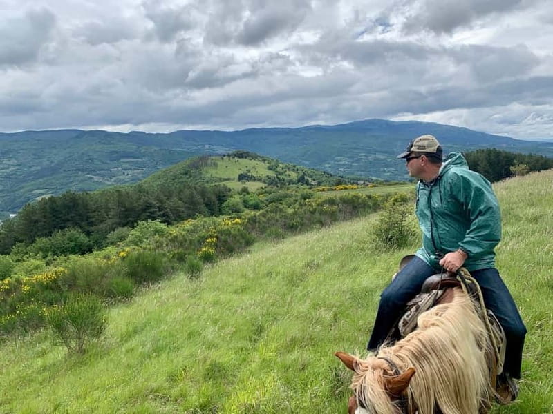 From Florence: Horse Ride and Wine Tour at Estate with Lunch - The wine estate experience: cellars, vinsantaia, and a guided history of Chianti