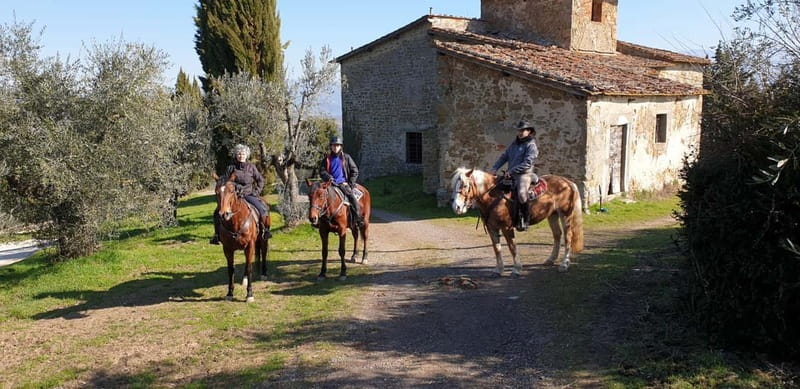 From Florence: Horse Ride and Wine Tour at Estate with Lunch - Lunch in the garden: what you eat with your tastings