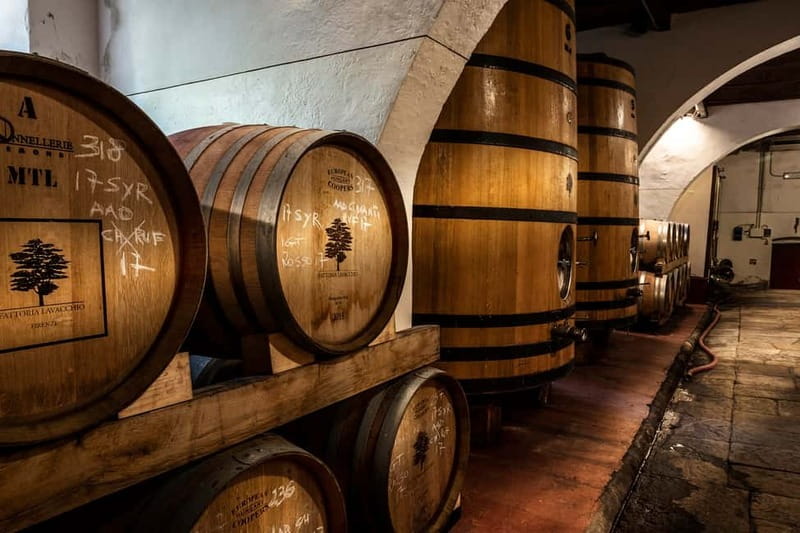 From Florence: Horse Ride and Wine Tour at Estate with Lunch - The safety prep: helmets, insurance, and a quick riding lesson