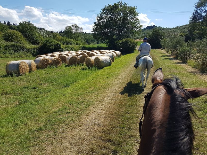 From Florence: Horseback Ride and Olive Oil and food tasting - From Florence to the Chianti hills: the day’s rhythm