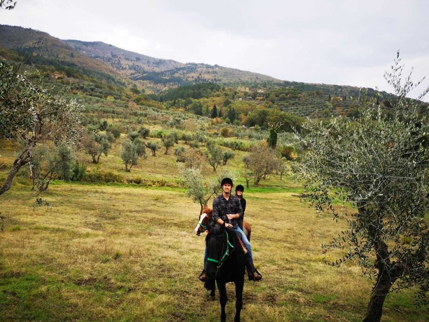 From Florence: Horseback Ride and Olive Oil and food tasting - Matching the horse to you: the part that makes or breaks it