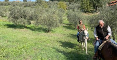 From Florence: Horseback Ride and Olive Oil and food tasting - 1-hour horseback ride: what to expect on the trail