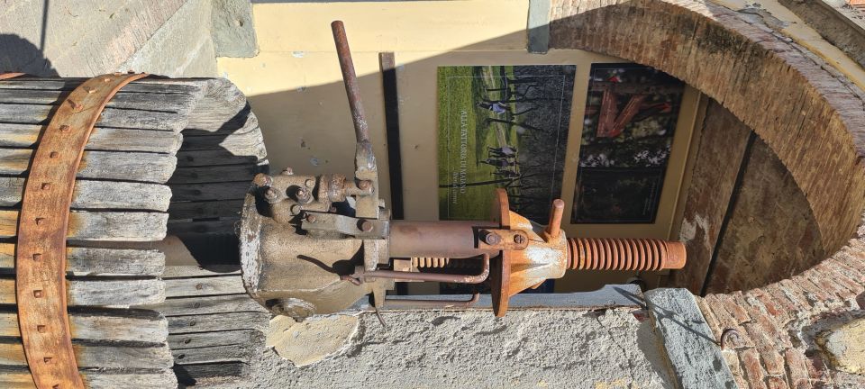 From Florence: Horseback Ride and Olive Oil and food tasting - The historic olive estate: medieval manor, old presses, modern methods