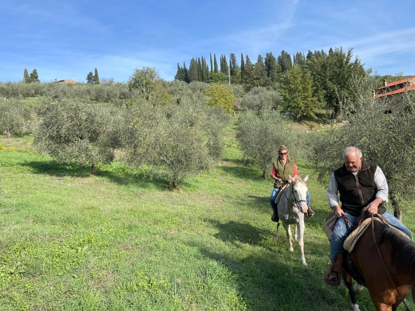 From Florence: Horseback Ride and Olive Oil and food tasting - Chianti wine and local food: the payoff meal