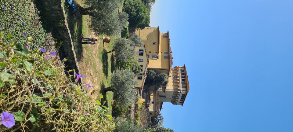 From Florence: Horseback Ride and Olive Oil and food tasting - Price and value: does $377 per person make sense?