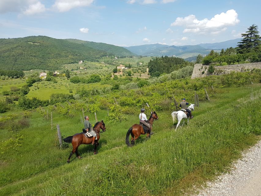 From Florence: Horseback Ride and Olive Oil and food tasting - Who this tour suits best (and who should skip it)