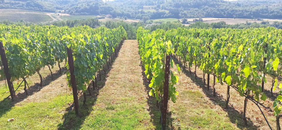 From Florence: Pisa/Chianti Half Day Tour with Wine Tasting - Key things to know before you go