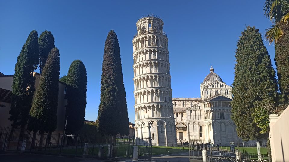 From Florence: Pisa/Chianti Half Day Tour with Wine Tasting - The five-wine tasting (plus olive oil): what you’ll learn