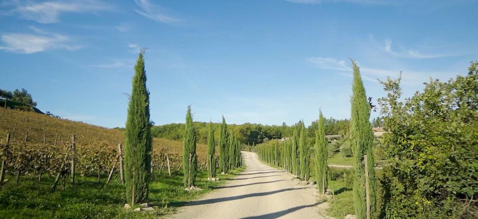 From Florence: Private Half-Day Chianti Tour & Wine Tasting - Key things that make this Chianti half-day worth it