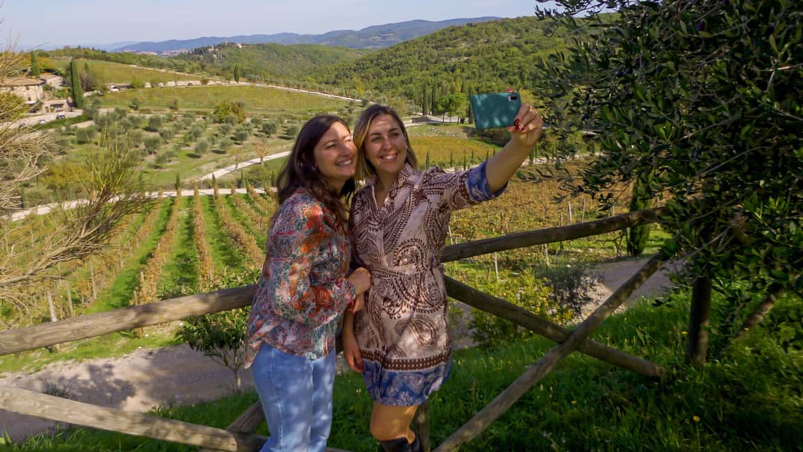 From Florence: Private Half-Day Chianti Tour & Wine Tasting - What could disappoint you, and how to plan around it