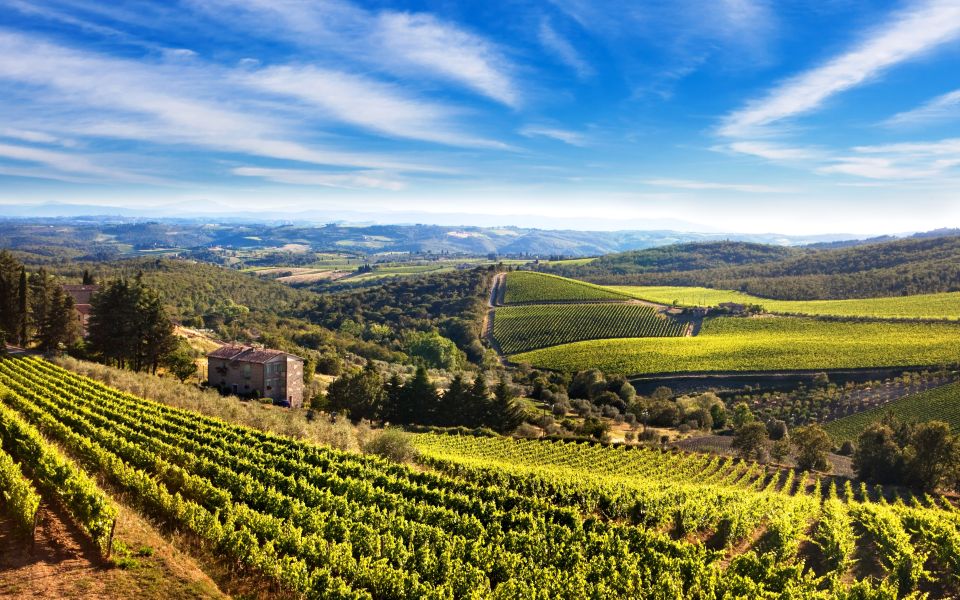 From Florence: Private Half-Day Chianti Tour & Wine Tasting - Artisan time in Greve: what to do with your free minutes