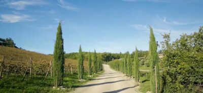 From Florence: Private Half-Day Chianti Tour & Wine Tasting - Greve in Chianti and the Chiantigiana Road: small-town charm with a plan